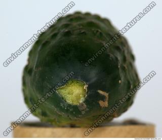 Cucumber 0011